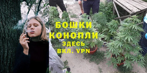 ПСИЛОЦИБИНОВЫЕ ГРИБЫ Гусиноозёрск