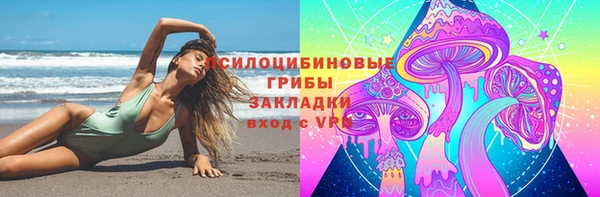 ПСИЛОЦИБИНОВЫЕ ГРИБЫ Гусиноозёрск