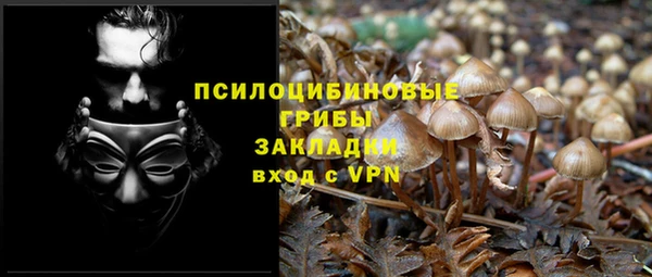 а пвп мука Горняк