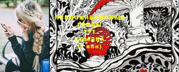 ПСИЛОЦИБИНОВЫЕ ГРИБЫ Гусиноозёрск